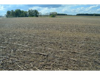 Property photo 46 - EHLE FARMS AUCTION - 118+/- ACRES IN 9 TRACTS IN ALLEN COUNTY, INDIANA
